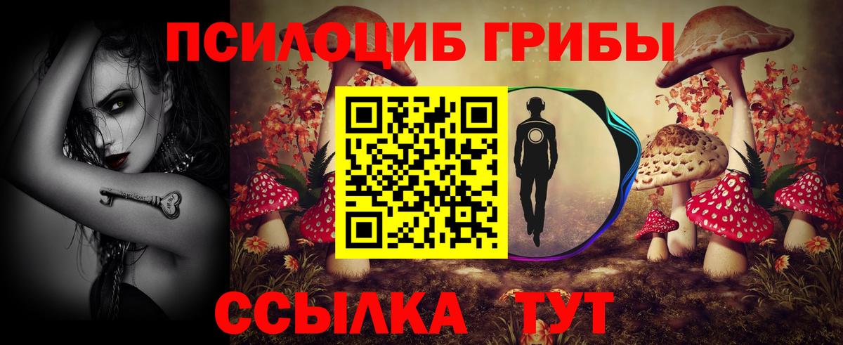 Псилоцибиновые грибы Magic Shrooms  Вход с VPN  где найти   Галлюциногенные грибы прущие грибы  Асино 